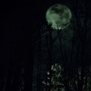 vlcsnap-2016-01-04-08h25m01s985xc