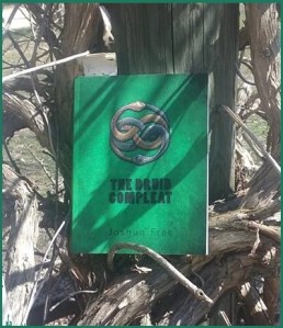 13043328_1691299604455500_7570410307930593095_nvv